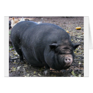 PORKER CARDS