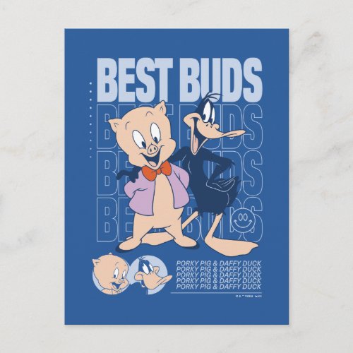 Porky Pig  DAFFY DUCK Best Buds Postcard