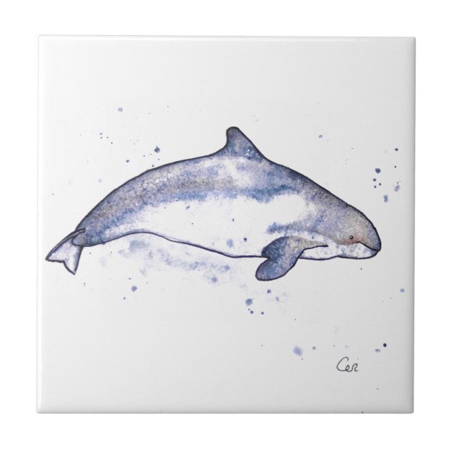 Porpoise Illustration Tile (Front)