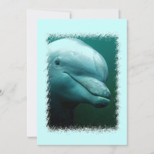 Porpoise Invitation