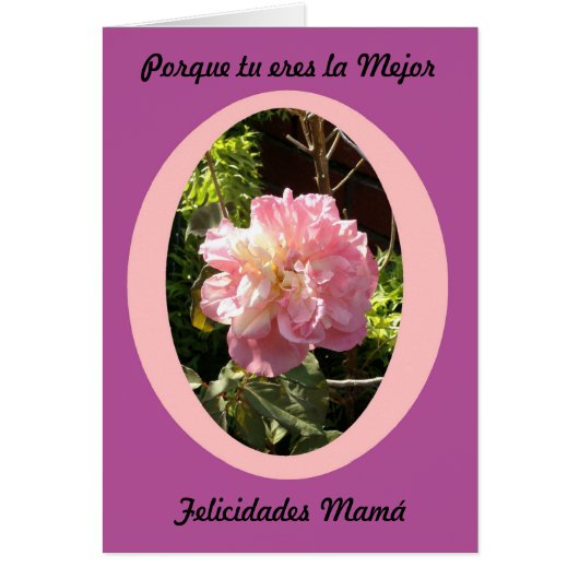 Porque eres la mejor felicidades mejor (Front)