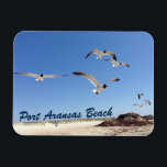 Port Aransas Seagull Photography Pretty Beach Magnet<br><div class="desc">Pretty seaside photograph of the seagulls flying over the shore of Port Aransas Beach in Texas. A great seashore photo magnet for a Texan who loves Mustang Island in the summer. Birds that fly over the ocean and sand are a party of every ocean vacation by the sea.</div>
