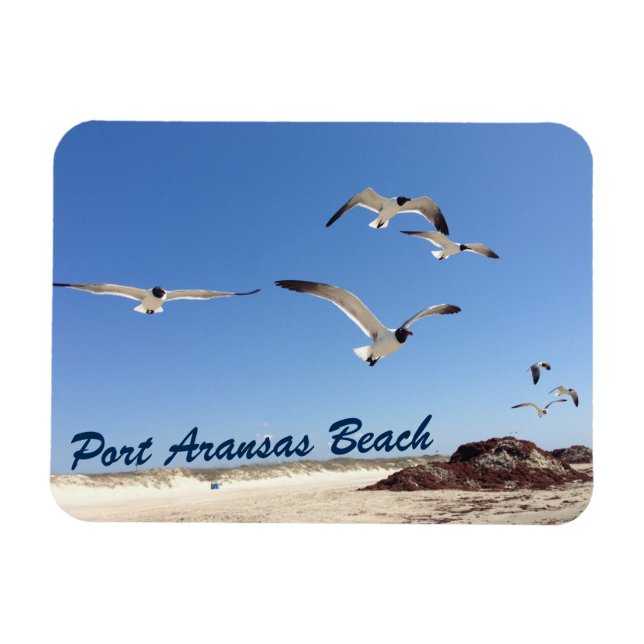 Port Aransas Seagull Photography Pretty Beach Magnet (Horizontal)