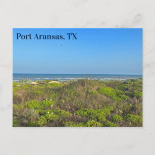 Port Aransas Texas Beach Grass Photography  Postcard