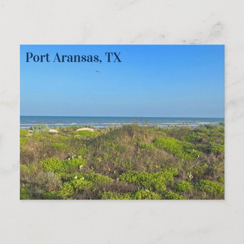 Port Aransas Texas Beach Grass Photography  Postcard