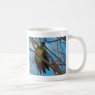 Port Lincoln Parrot Office Products Supplies Zazzle Port Lincoln Parrot Coffee Mug