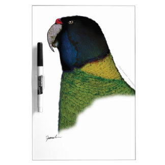 Port Lincoln Parrot Office Products Supplies Zazzle Port Lincoln Parrot Tony Fernandes Dry Erase Board