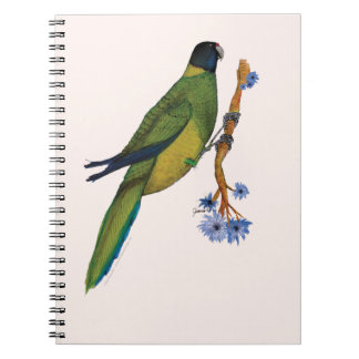 Port Lincoln Parrot Office Products Supplies Zazzle Port Lincoln Parrot Tony Fernandes Notebook