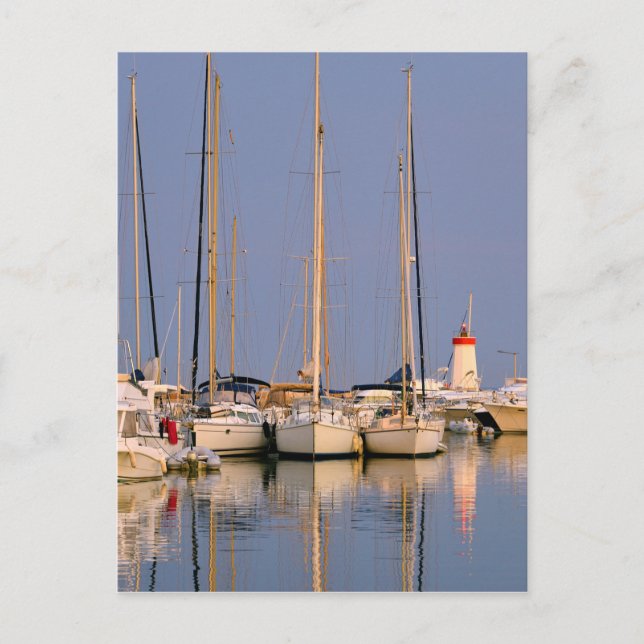 Port of Hyères les Palmiers Postcard (Front)