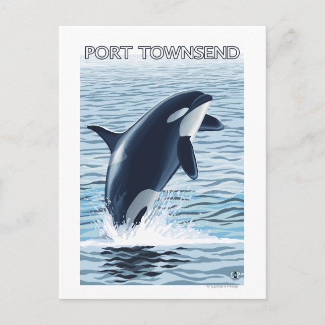 Port Townsend, WashingtonOrca Jumping Postcard (Front)