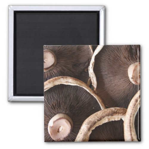 Portabella Mushrooms Magnet