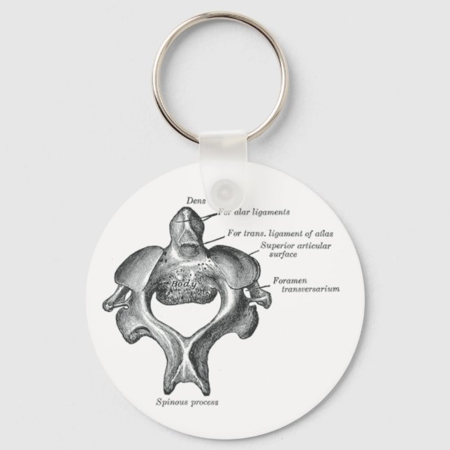 Portable Backbone Keychain (Front)