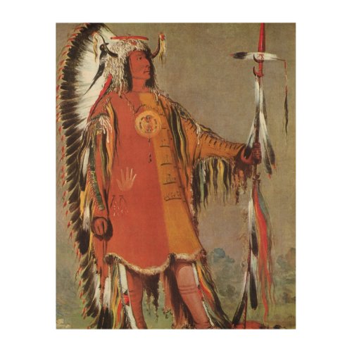 Portait of Indian Chief Mato_Tope by George Catlin Wood Wall Art