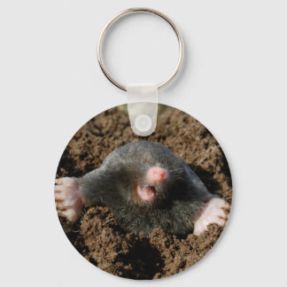 Porte-clé Taupe Keychain