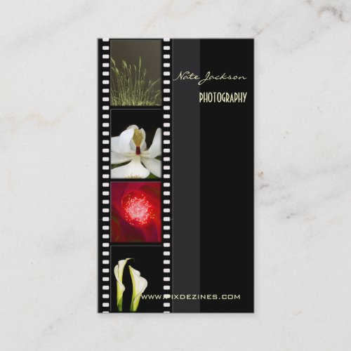 Portfolio business cards photos template