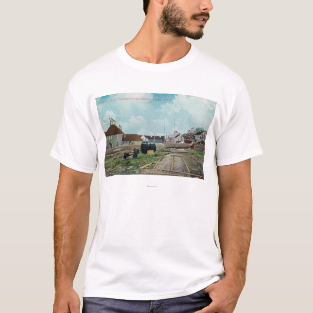Portion of Treadwell MinesDouglass Island, AK T-Shirt (Front)