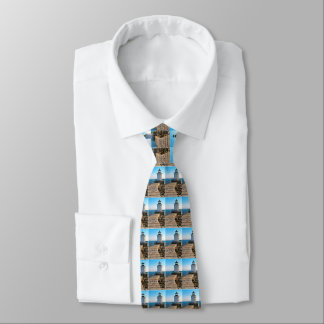Portland Breakwater Lighthouse, Maine Mens Tie