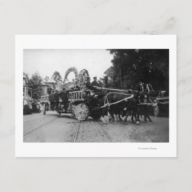 Portland, OR Rose Festival Parade Horses Postcard (Front)