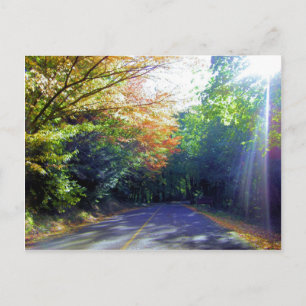 Portland, Oregon Road to the Rose Garden Postcard