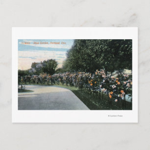 Portland, OregonView of a Rose Garden Postcard