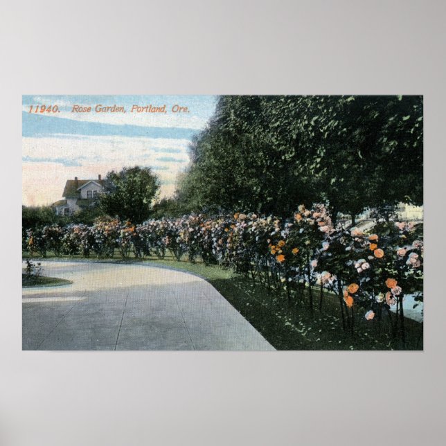Portland, OregonView of a Rose Garden Poster (Front)
