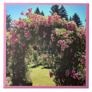 Portland Rose Garden, OR Ceramic Tile