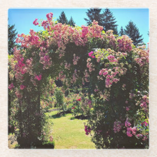 Portland Rose Garden, OR Glass Coaster