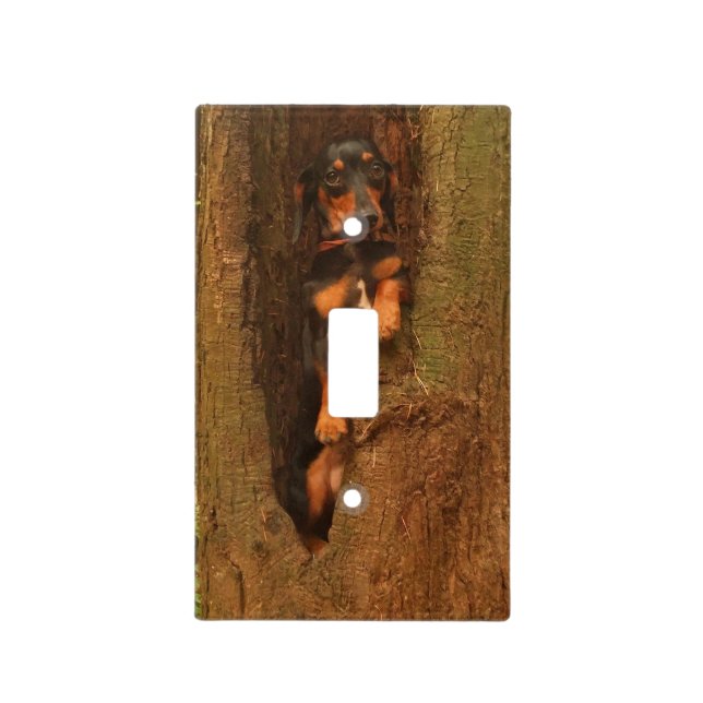 Portland Tree Light Switch Cover (Front)