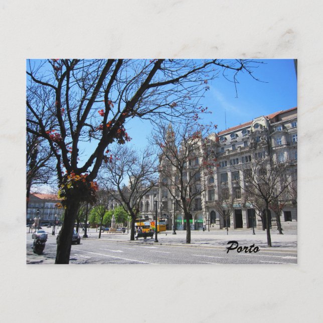 Porto main center Postcard (Front)