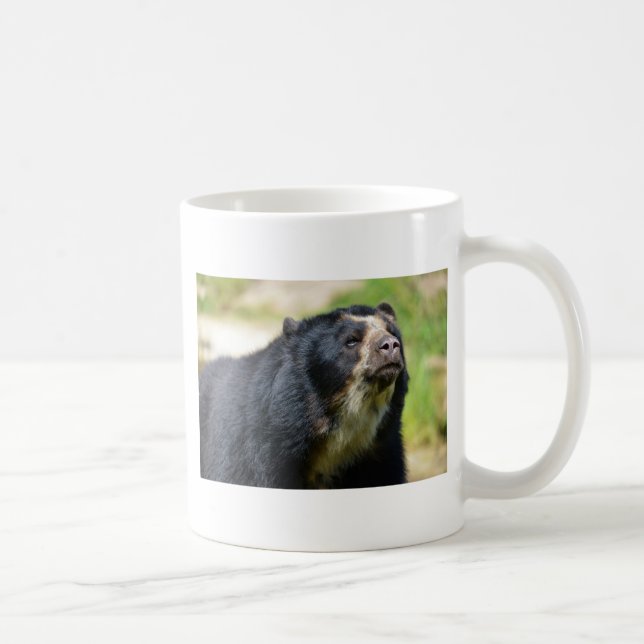 Portrait Andean bear Coffee Mug (Right)