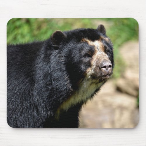 Portrait Andean bear Mouse Pad