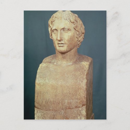 Portrait bust of Alexander the Great Postcard