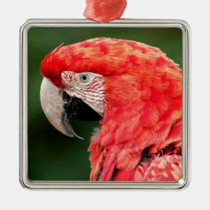 Portrait green-winged macaw metal ornament