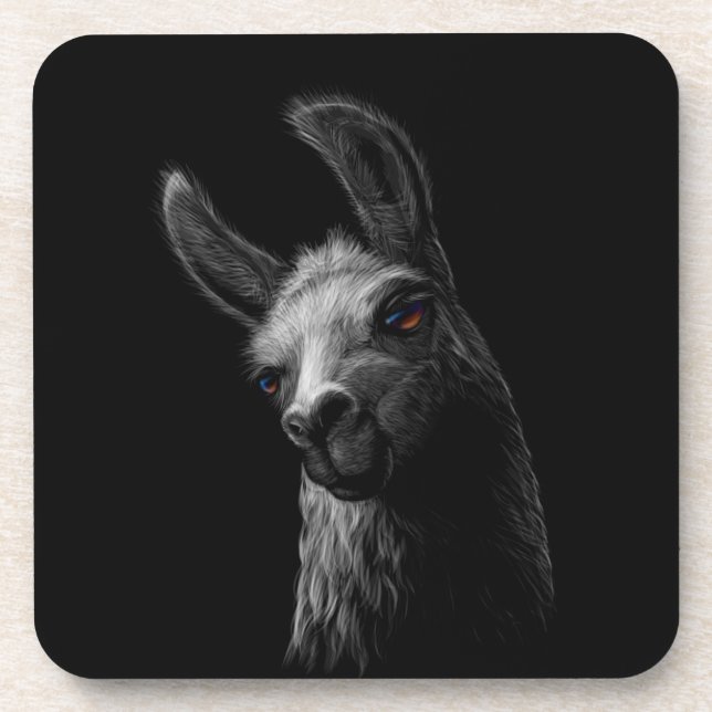 Portrait Head Cute Llama with a Black Background Beverage Coaster (Front)