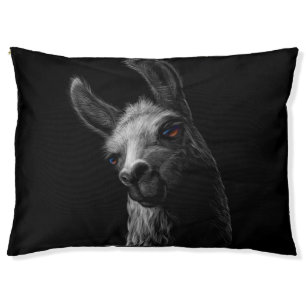 Portrait Head Cute Llama with a Black Background Pet Bed