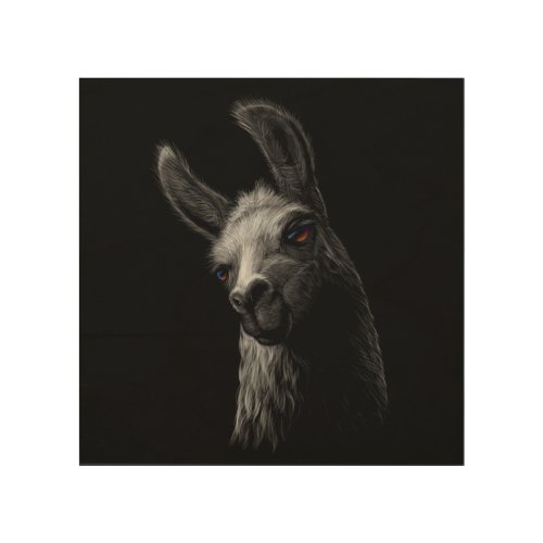 Portrait Head Cute Llama with a Black Background Wood Wall Art