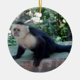 Portrait.JPG Ceramic Ornament