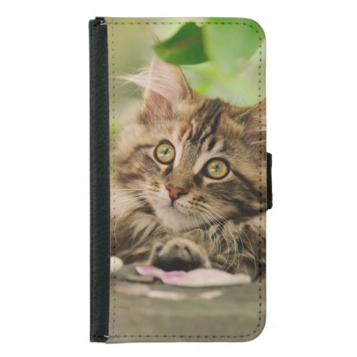 Portrait Maine Coon cat kitten Samsung Galaxy S5 Wallet Case