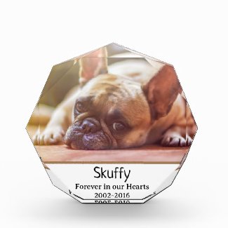 Portrait Memorial for Diseased Dog Cat  Pet Plaque