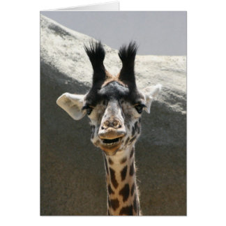 Portrait of a Baby Giraffe Cards