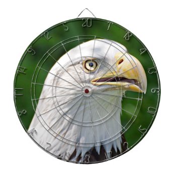 Portrait Of A Bald Eagle Dartboard by debscreative at Zazzle