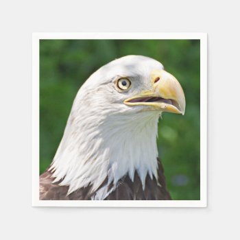 Portrait Of A Bald Eagle Paper Napkins by debscreative at Zazzle