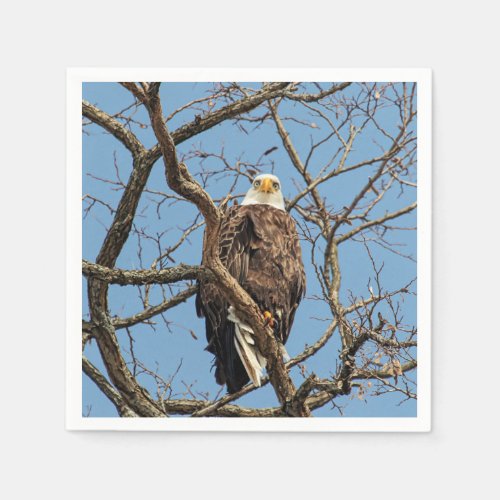 Portrait of a Bald Eagle Paper Napkins