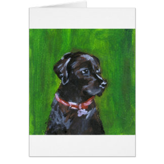 Portrait of a Black Labrador