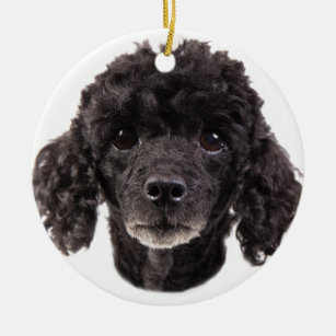 black poodle items