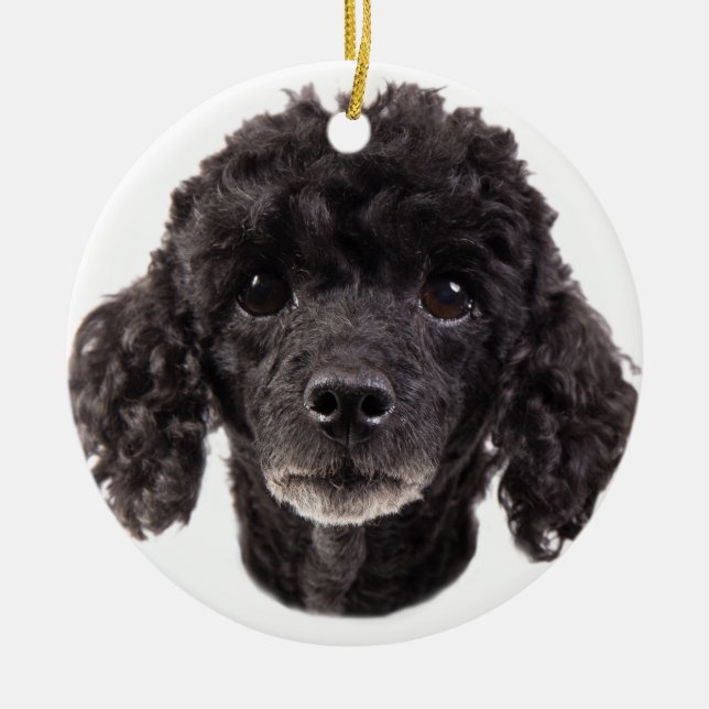 Portrait of a black poodle ceramic ornament (Front)
