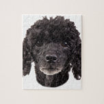 Portrait of a black poodle jigsaw puzzle<br><div class="desc">Close up Portrait of a cute black poodle</div>