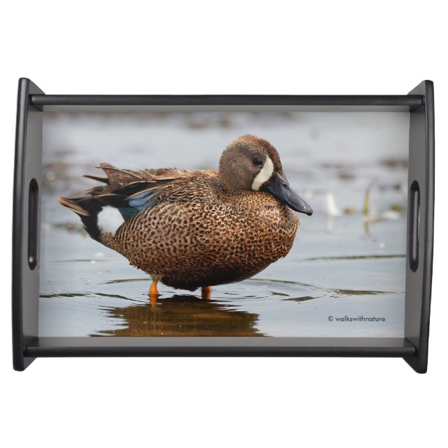 Portrait of a Blue-Winged Teal Serving Tray (Front)