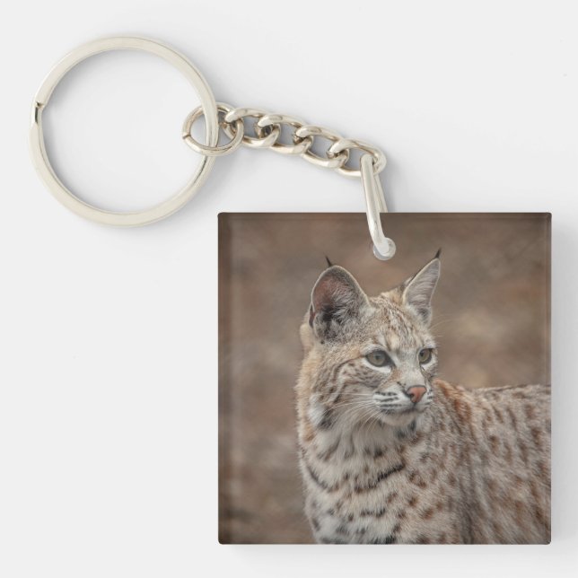 Portrait of a Bobcat Keychain (Front)