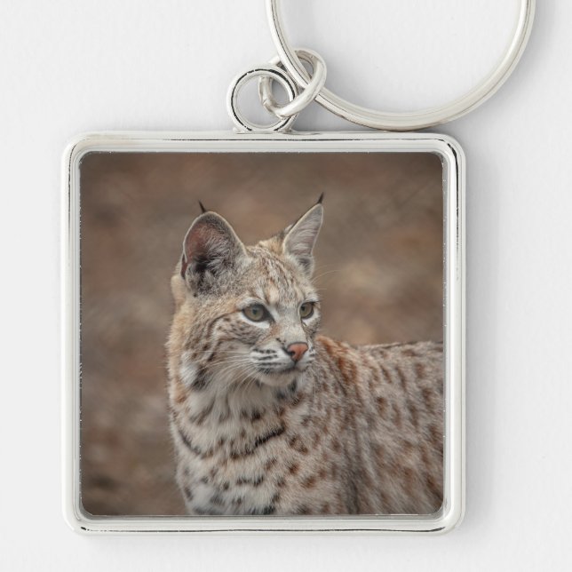 Portrait of a Bobcat Keychain (Front)
